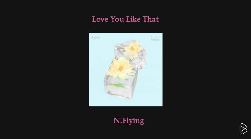 N.Flying - MONTHLY MIXTAPE: JUNE 2025