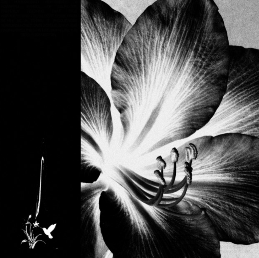 "date urself" - quiet morning