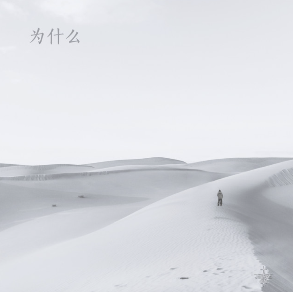 "为什么: whatislov3" - JustJaewin