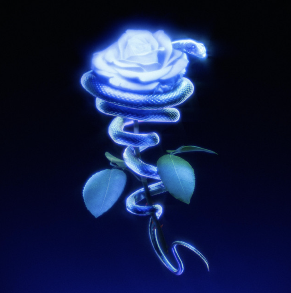 "play it safe" - wefoundrui