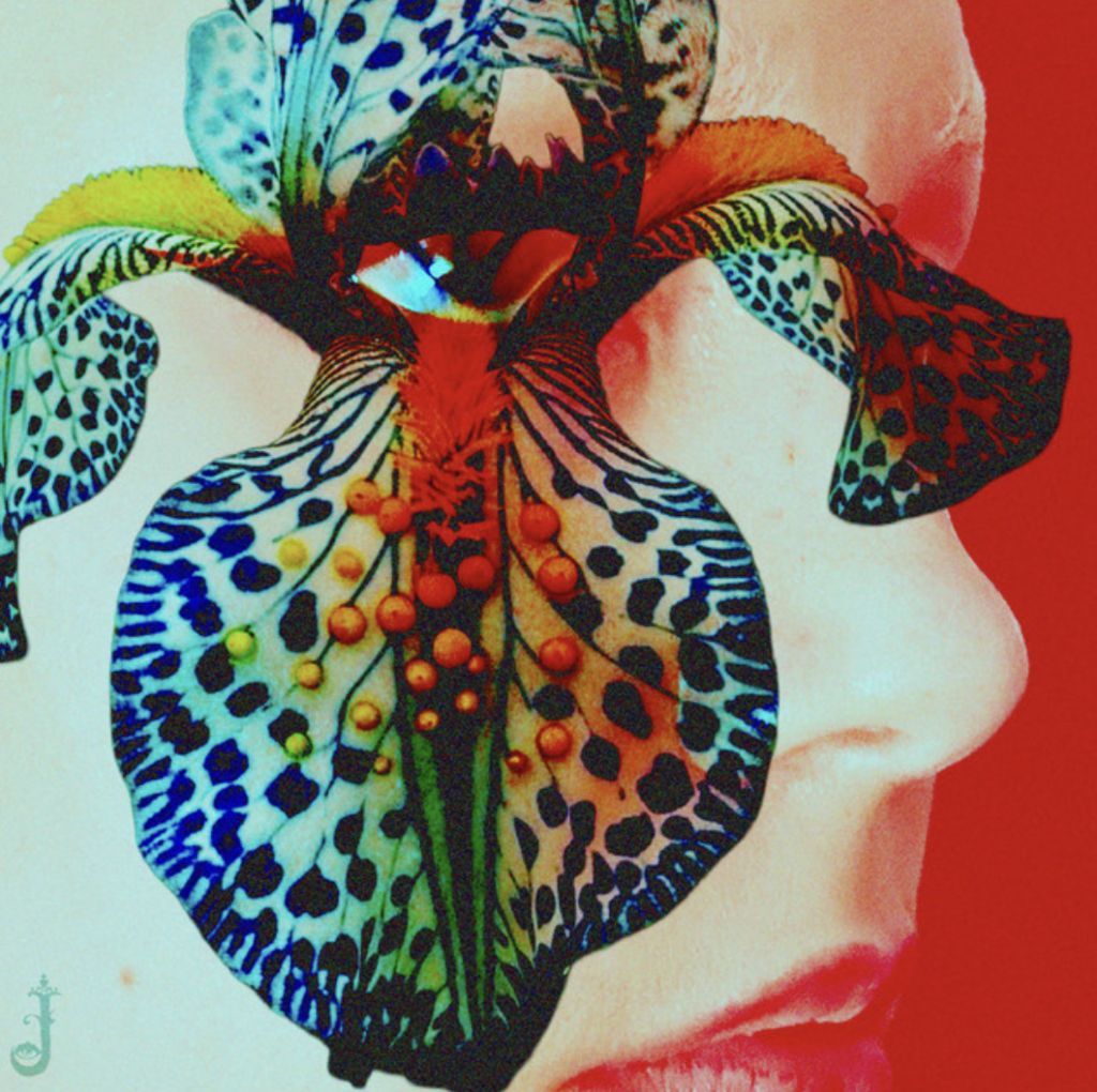 "Will She / Won't She" - Julia Pratt, JULITH