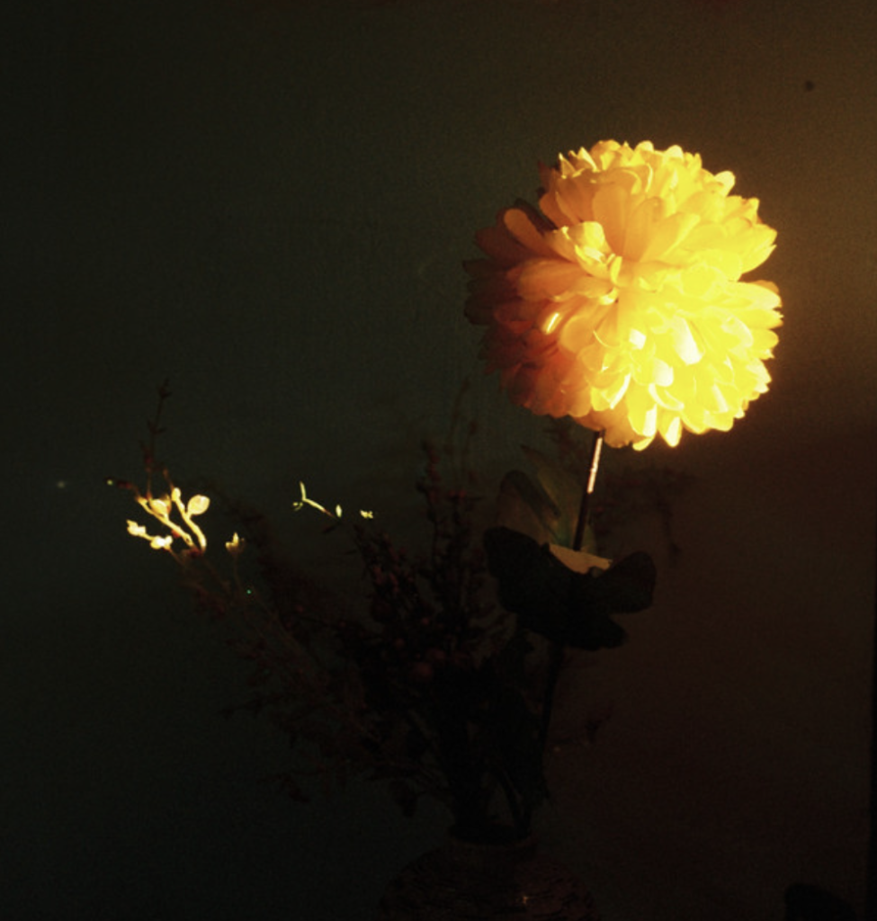 "FLOWERS"- Gabriel, CUBE