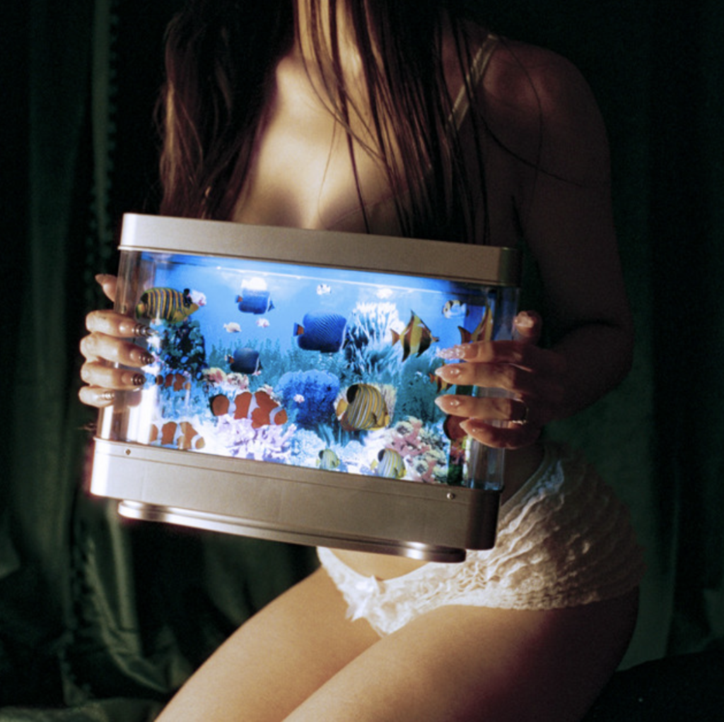 "SOLUTION" - CASANDRA