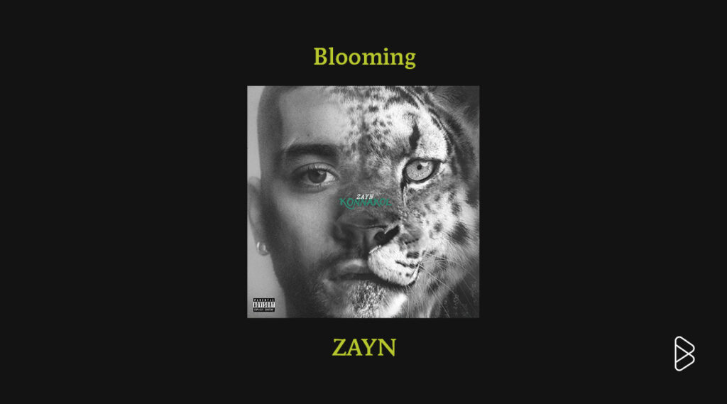 ZAYN - On Rotation: April 2026