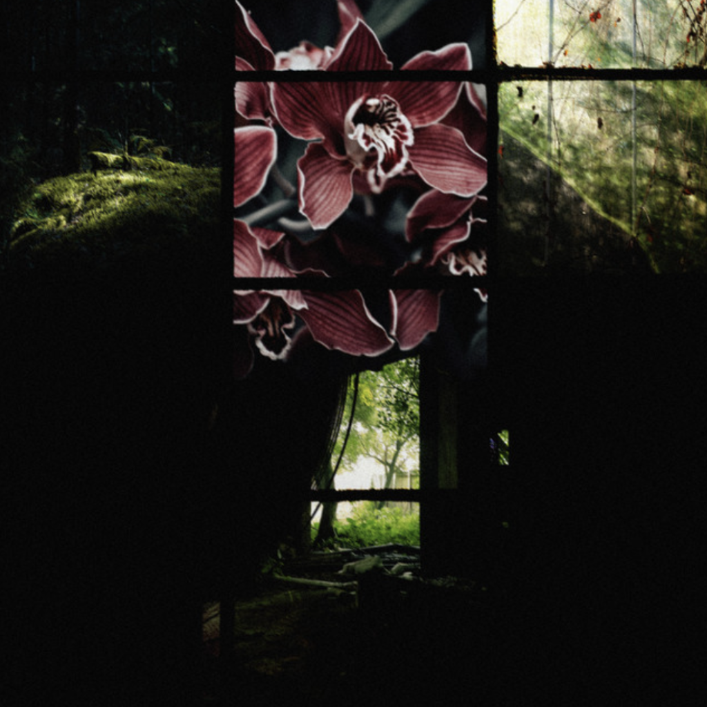 under my skin (EP) - quiet morning